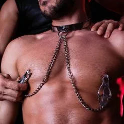 DARK-LINE Classy Collar With Clover Clamps -Poppers et Leather Cleaners Soldes classy collar with clover clamps 4