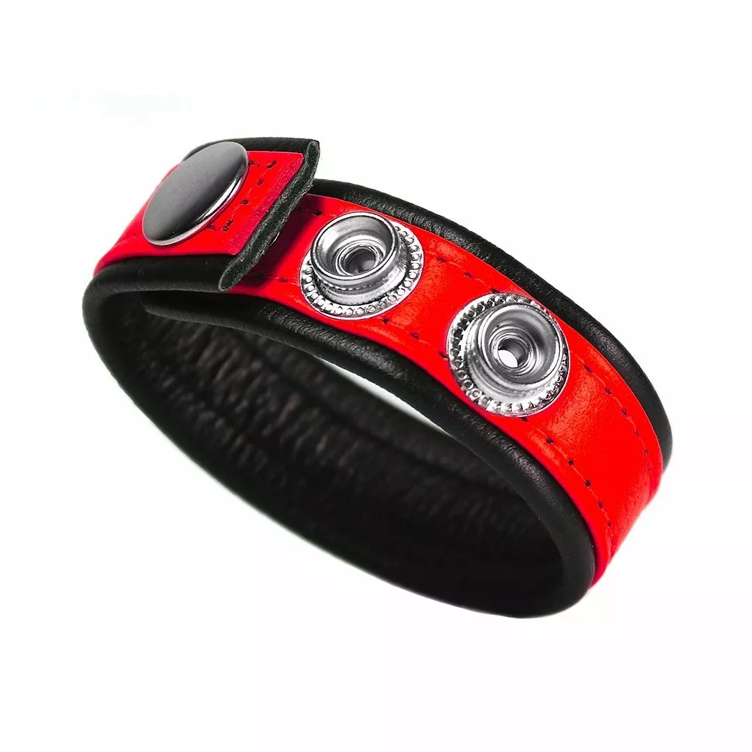 DARK-LINE Cockring Ze Rainbow Cuir Ajustable 12 DARK-LINE Cockring Ze Rainbow Cuir Ajustable – Image 10