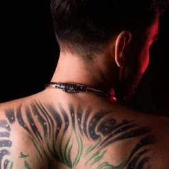 DARK-LINE Collier Cadenas à Combinaison -Poppers et Leather Cleaners Soldes collier cadenas a combinaison 2