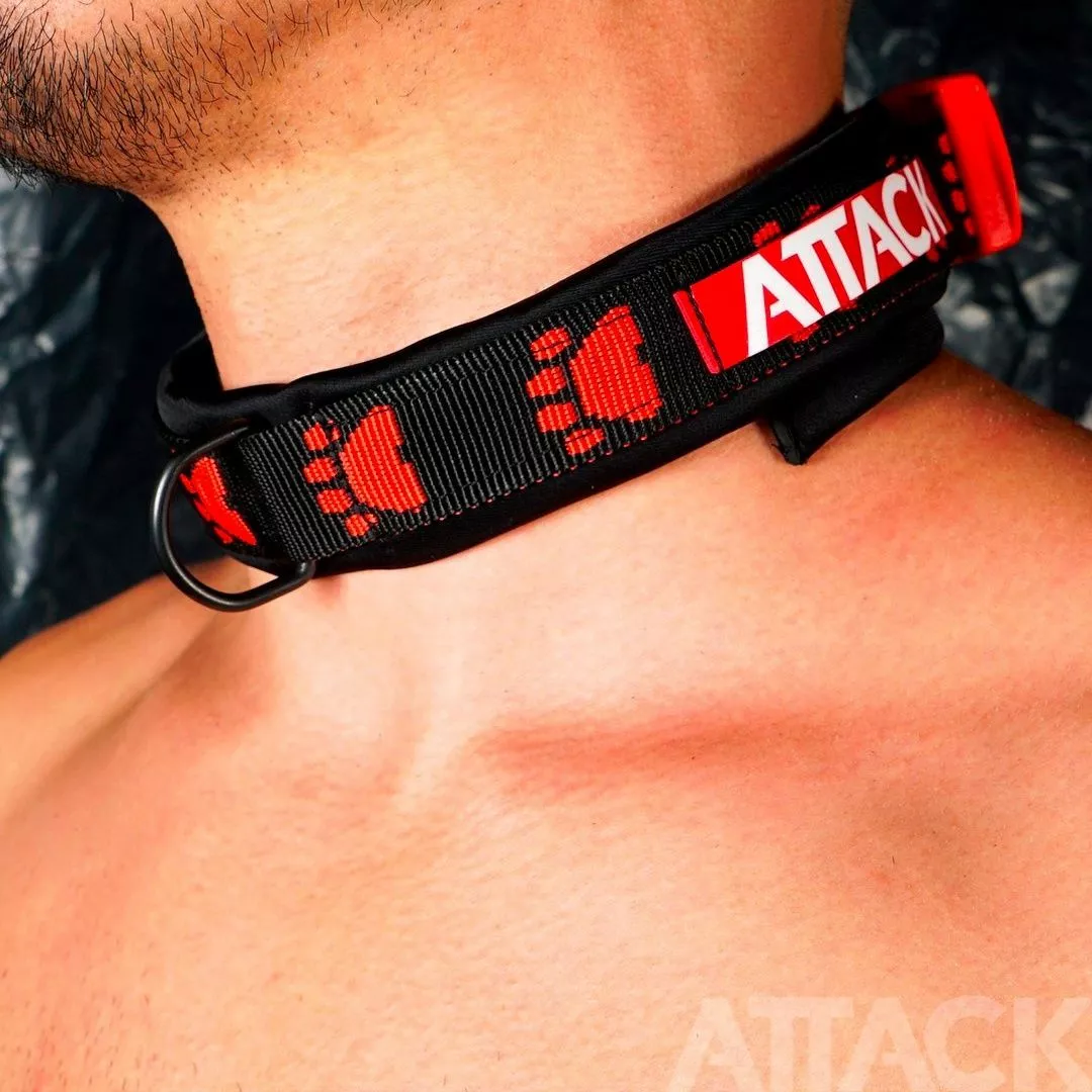 ATTACK MEN Collier Puppy Néoprene Imprimé Patte 4 ATTACK MEN Collier Puppy Néoprene Imprimé Patte – Image 2