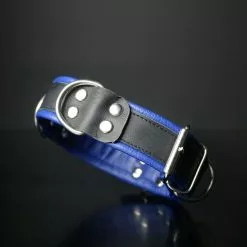 DARK-LINE Deluxe Bondage Leather Collar Black Blue -Poppers et Leather Cleaners Soldes deluxe bondage leather collar black blue 2