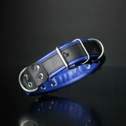 DARK-LINE Deluxe Bondage Leather Collar Black Blue -Poppers et Leather Cleaners Soldes deluxe bondage leather collar black blue 3