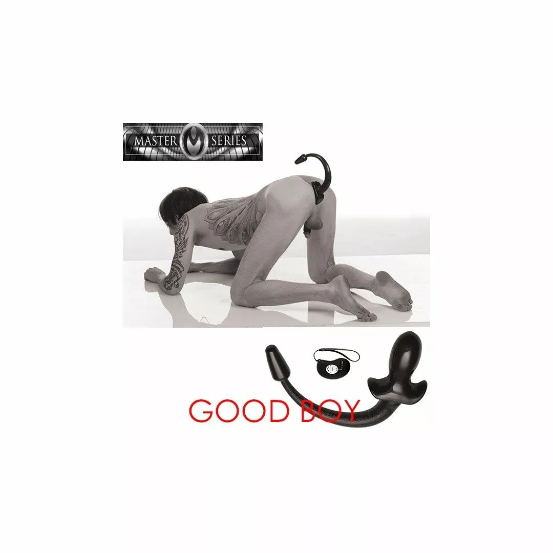 Master Series Good Boy Puppy Plug Vibrante Telecommandée 4 Master Series Good Boy Puppy Plug Vibrante Telecommandée – Image 2