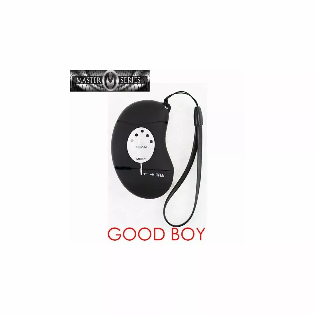 Master Series Good Boy Puppy Plug Vibrante Telecommandée 5 Master Series Good Boy Puppy Plug Vibrante Telecommandée – Image 3