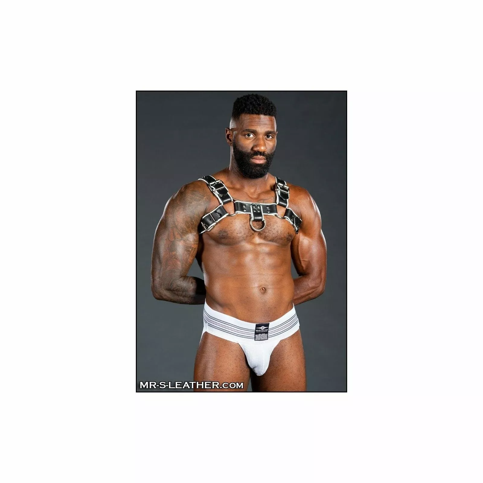 MR-S-LEATHER Harnais Bulldog 2.0 Blanc 7 MR-S-LEATHER Harnais Bulldog 2.0 Blanc – Image 5