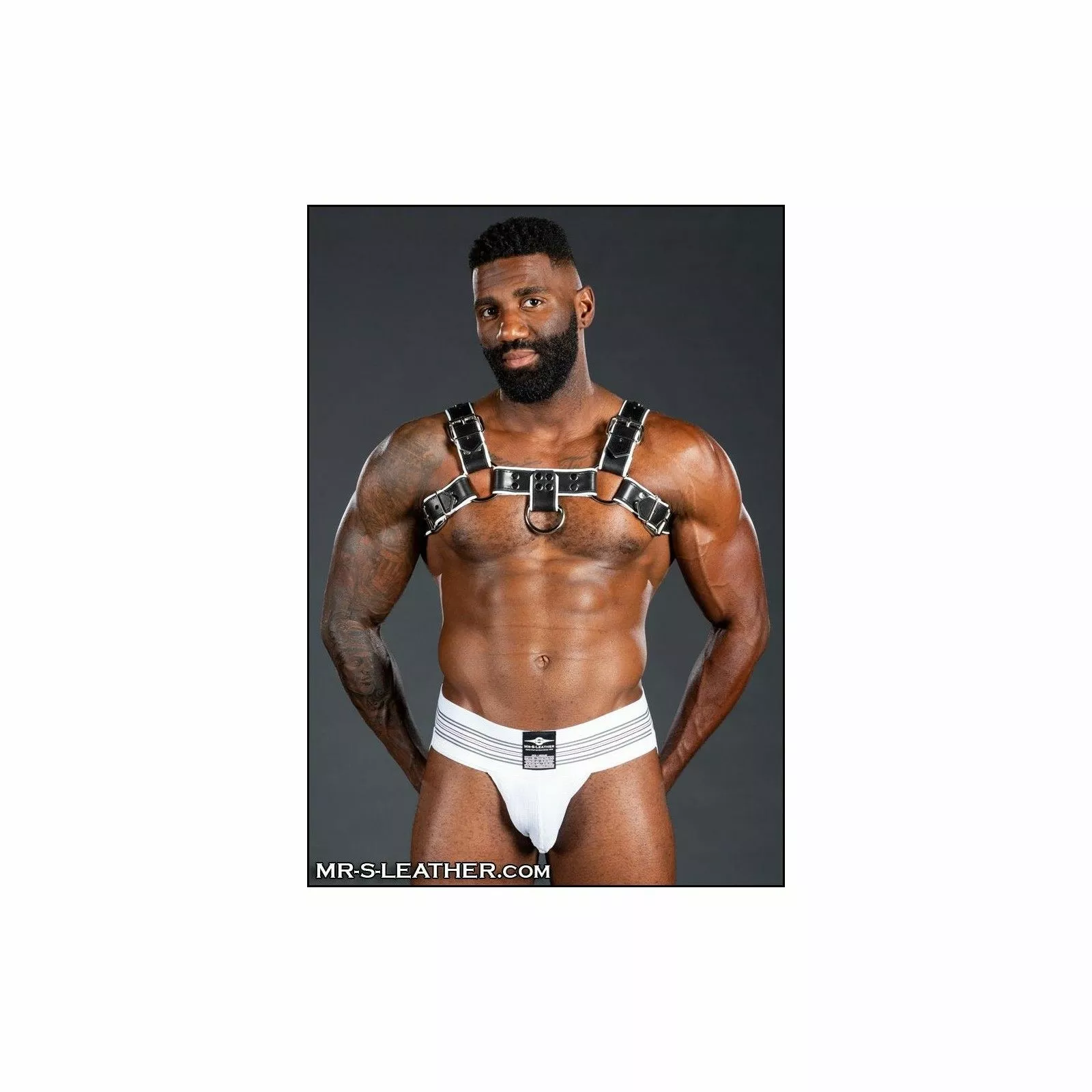 MR-S-LEATHER Harnais Bulldog 2.0 Blanc 9 MR-S-LEATHER Harnais Bulldog 2.0 Blanc – Image 7