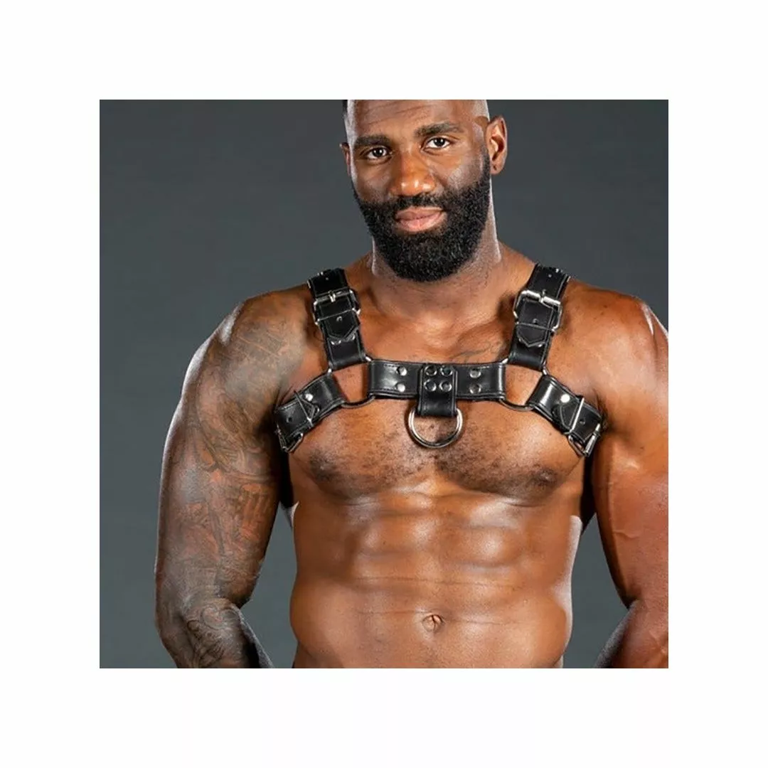 MR-S-LEATHER Harnais Bulldog 2.0 Noir 8 MR-S-LEATHER Harnais Bulldog 2.0 Noir – Image 6