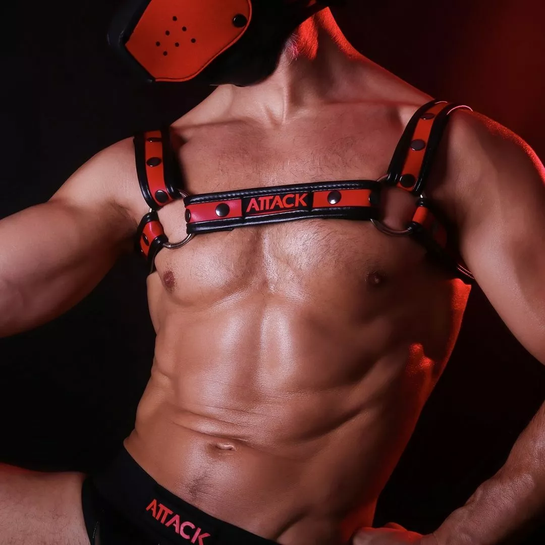 ATTACK MEN Harnais H Noir Rouge 5 ATTACK MEN Harnais H Noir Rouge – Image 3