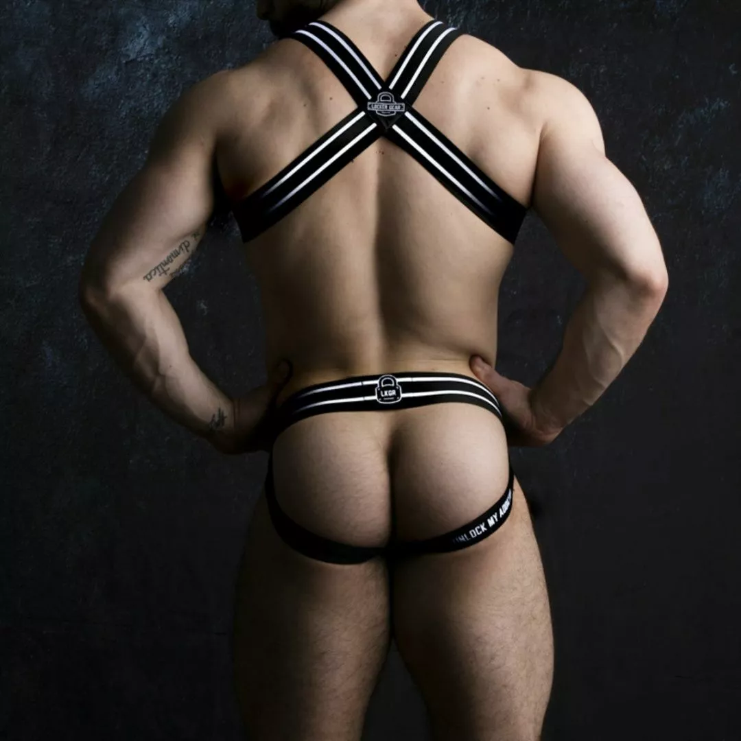 Harnais Locker Gear Blanc 4 Harnais Locker Gear Blanc – Image 2