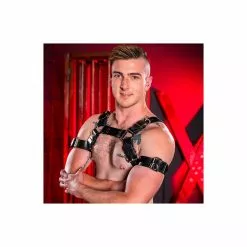 MR-S-LEATHER Harnais Trojan Metal 12 MR-S-LEATHER Harnais Trojan Metal -Poppers et Leather Cleaners Soldes harnais trojan metal 3