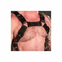 MR-S-LEATHER Harnais Trojan Metal 14 MR-S-LEATHER Harnais Trojan Metal -Poppers et Leather Cleaners Soldes harnais trojan metal 5