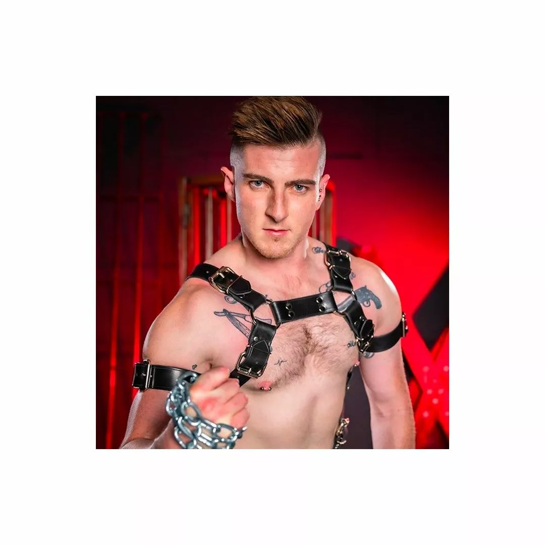 MR-S-LEATHER Harnais Trojan Metal 9 MR-S-LEATHER Harnais Trojan Metal – Image 7