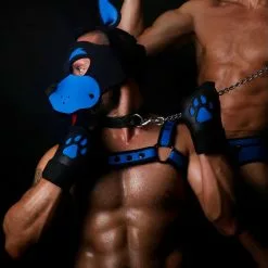 MR-S-LEATHER Head Harness NEO WOOF Blanc -Poppers et Leather Cleaners Soldes head harness neo woof blanc 6