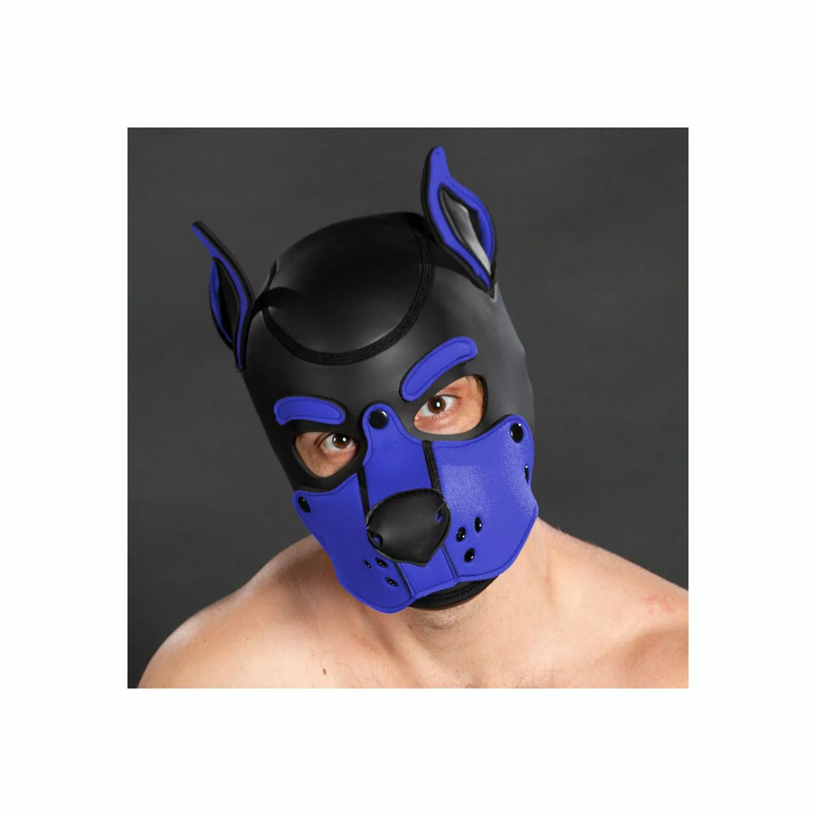 MR-S-LEATHER K9 Cagoule Neoprene Bleu Royal 4 MR-S-LEATHER K9 Cagoule Neoprene Bleu Royal – Image 2