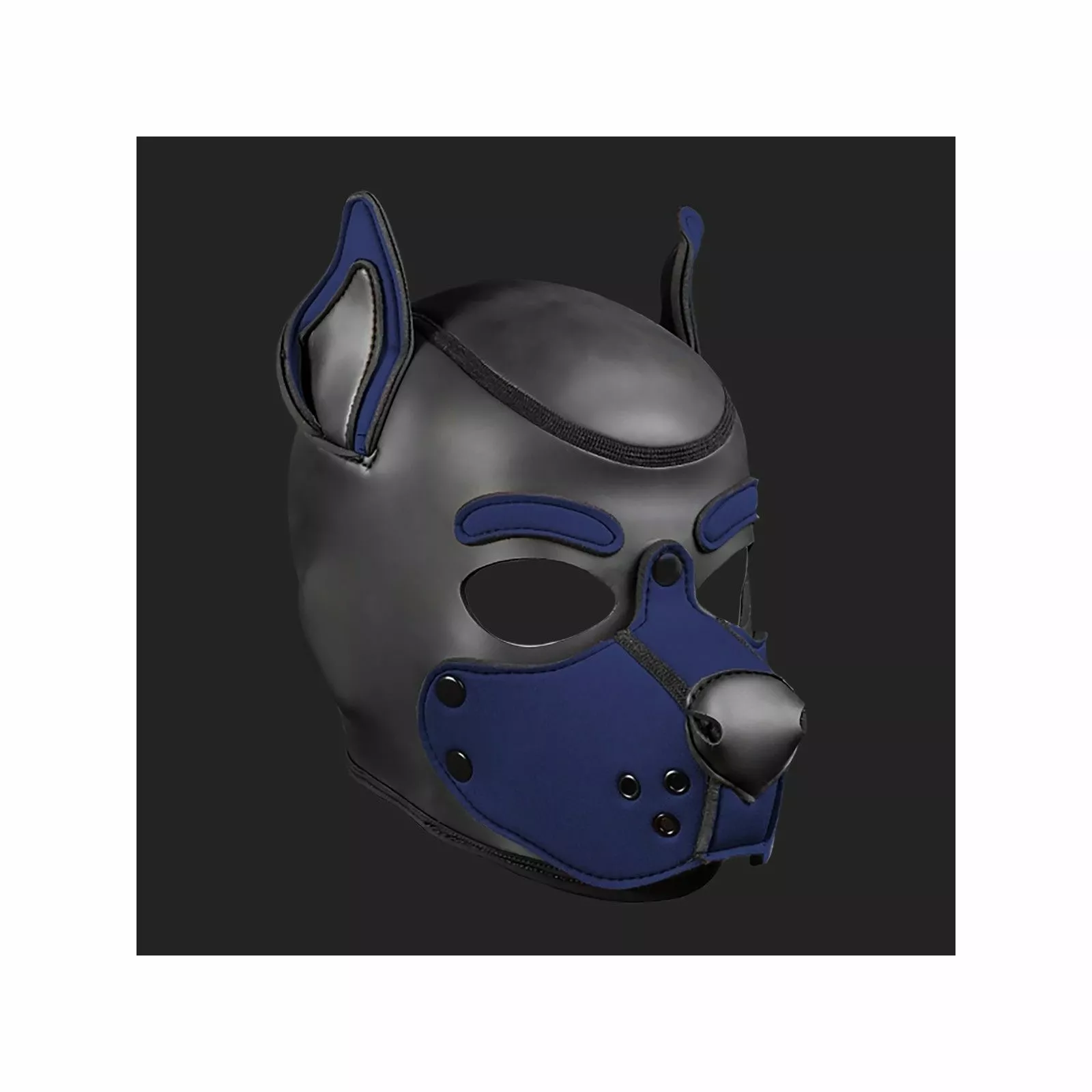 MR-S-LEATHER K9 Cagoule Neoprene Bleu Royal 3 MR-S-LEATHER K9 Cagoule Neoprene Bleu Royal