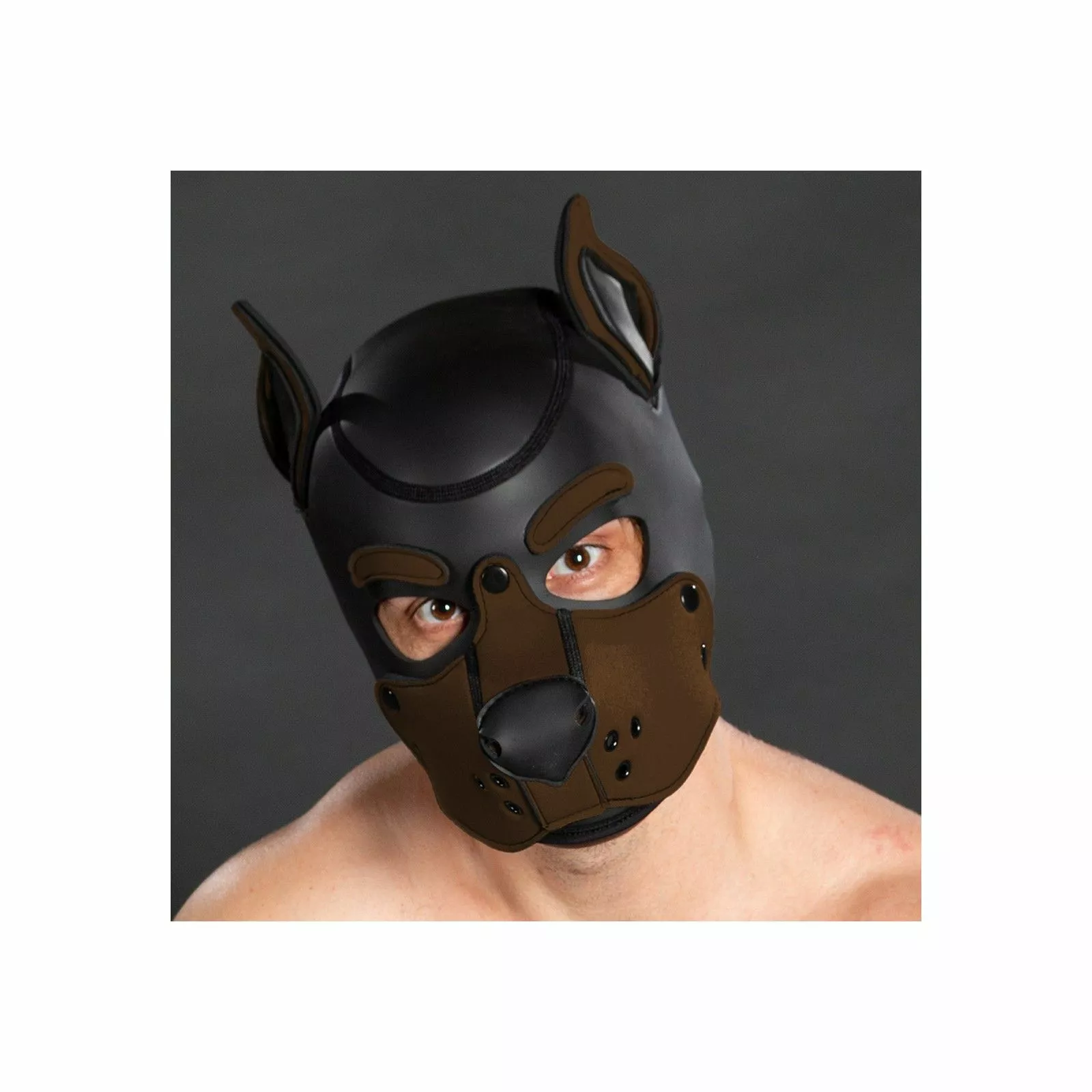 MR-S-LEATHER K9 Cagoule Neoprene Brown 4 MR-S-LEATHER K9 Cagoule Neoprene Brown – Image 2