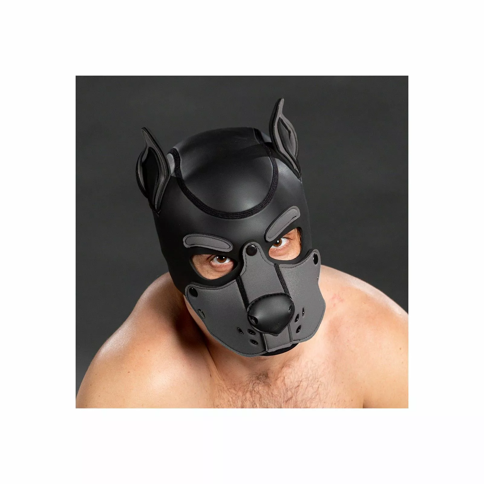 MR-S-LEATHER K9 Cagoule Neoprene Gris 4 MR-S-LEATHER K9 Cagoule Neoprene Gris – Image 2