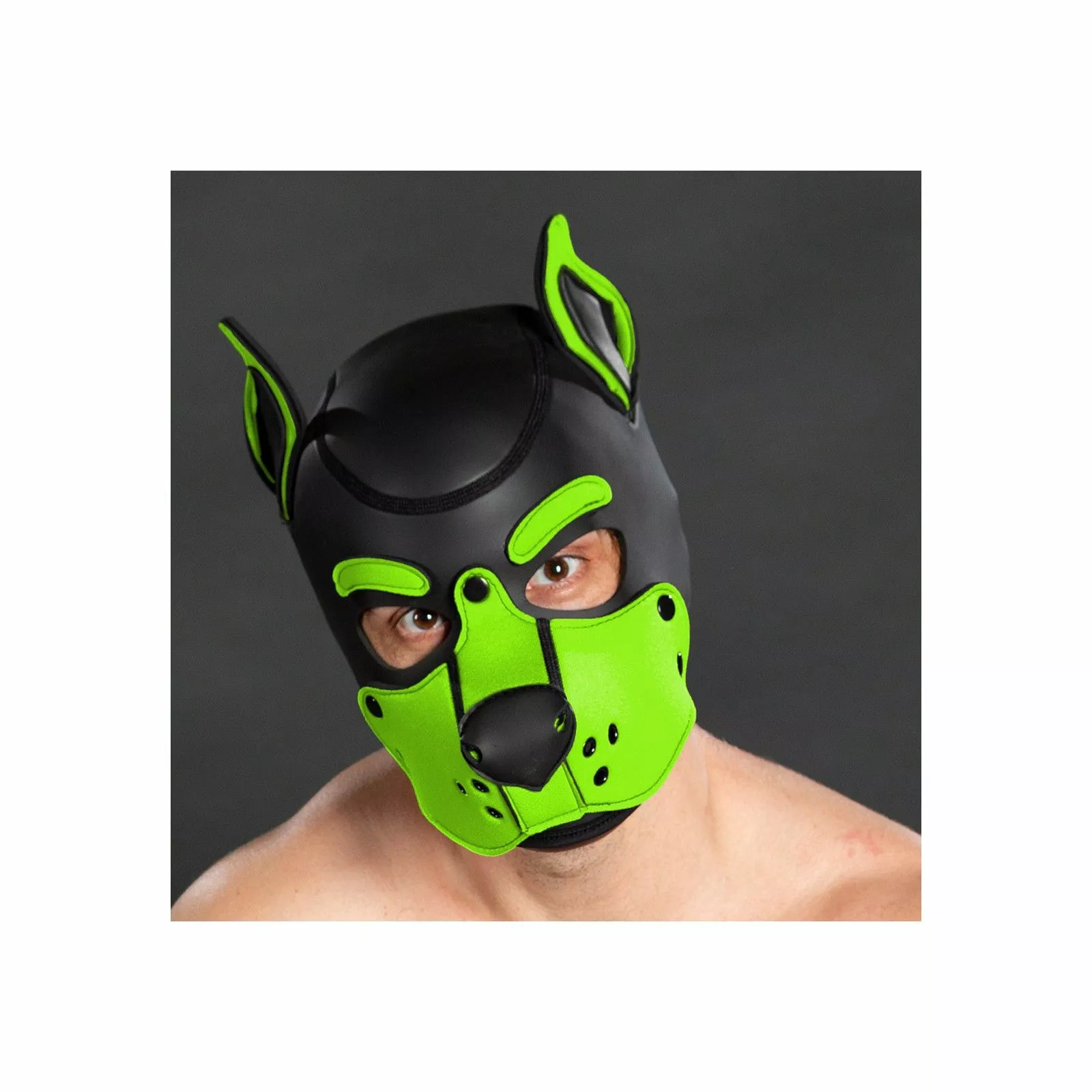 MR-S-LEATHER K9 Cagoule Neoprene Vert Lime 4 MR-S-LEATHER K9 Cagoule Neoprene Vert Lime – Image 2