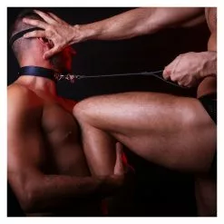 MR-S-LEATHER Mr S All Leather Laisse Cuir 81cm -Poppers et Leather Cleaners Soldes laisse cuir 813cm 3