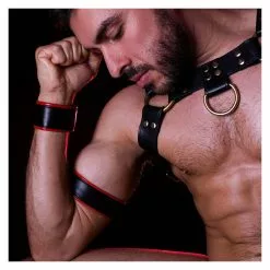 DARK-LINE Bracelet De Force Cuir Rouge -Poppers et Leather Cleaners Soldes leather wrist band 24cm rouge 3