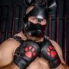 MR-S-LEATHER Moufles De Puppy Cuir K9 Rouge -Poppers et Leather Cleaners Soldes moufles de puppy cuir k9 rouge