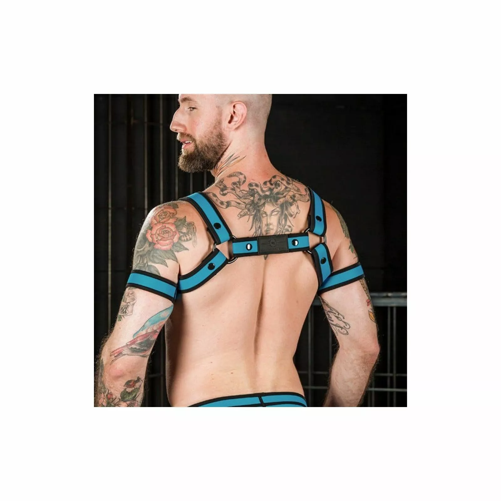 MR-S-LEATHER Neo Bold Bulldog Harness Aqua 4 MR-S-LEATHER Neo Bold Bulldog Harness Aqua – Image 2