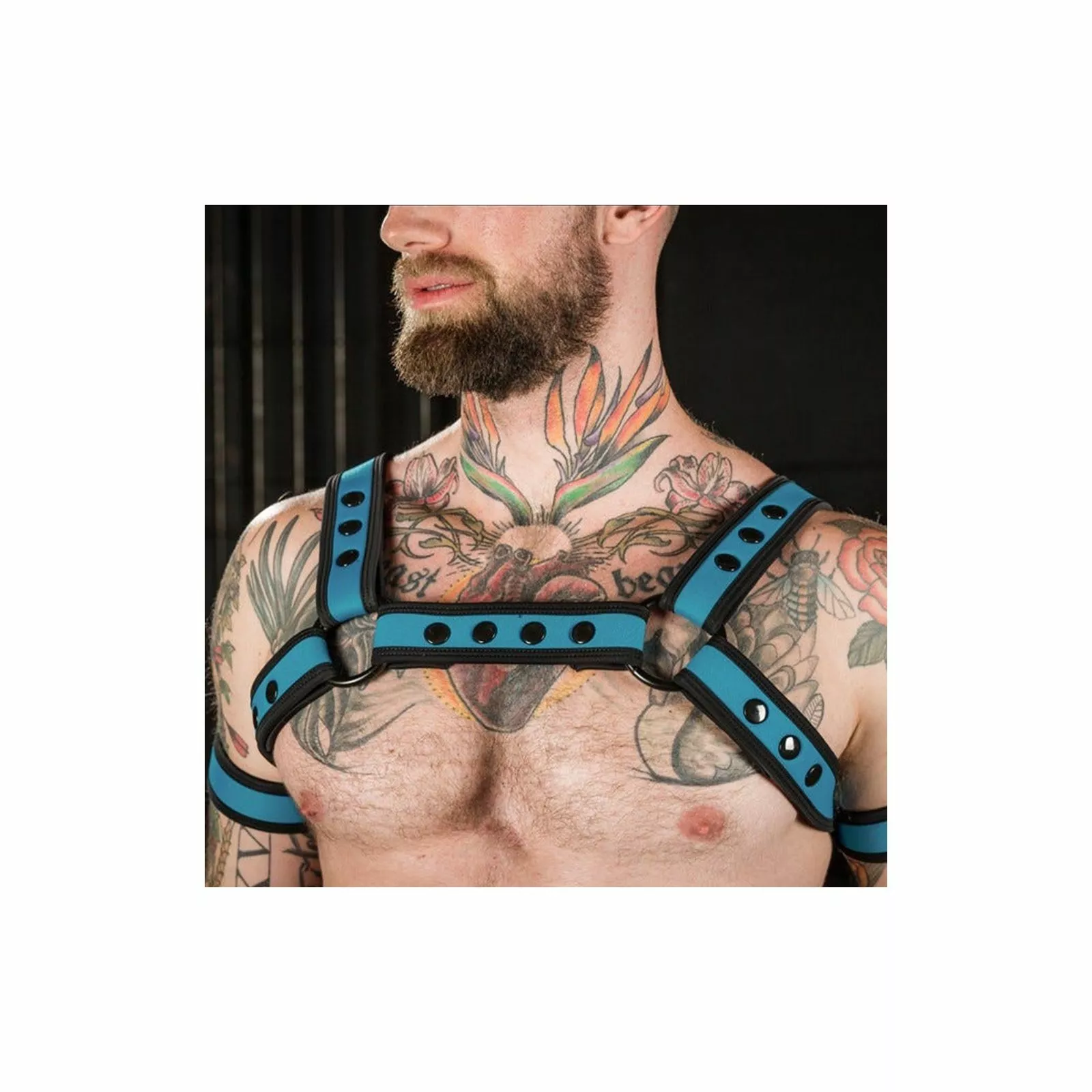 MR-S-LEATHER Neo Bold Bulldog Harness Aqua 5 MR-S-LEATHER Neo Bold Bulldog Harness Aqua – Image 3