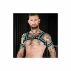 MR-S-LEATHER Neo Bold Bulldog Harness Aqua