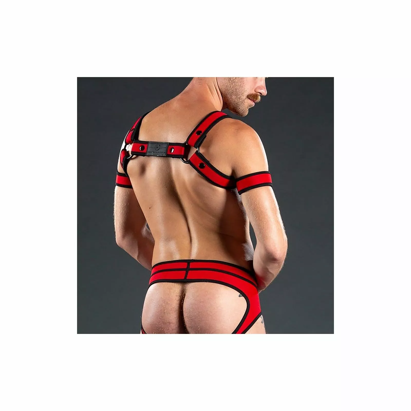 MR-S-LEATHER Neo Bold Bulldog Harness Rouge 4 MR-S-LEATHER Neo Bold Bulldog Harness Rouge – Image 2