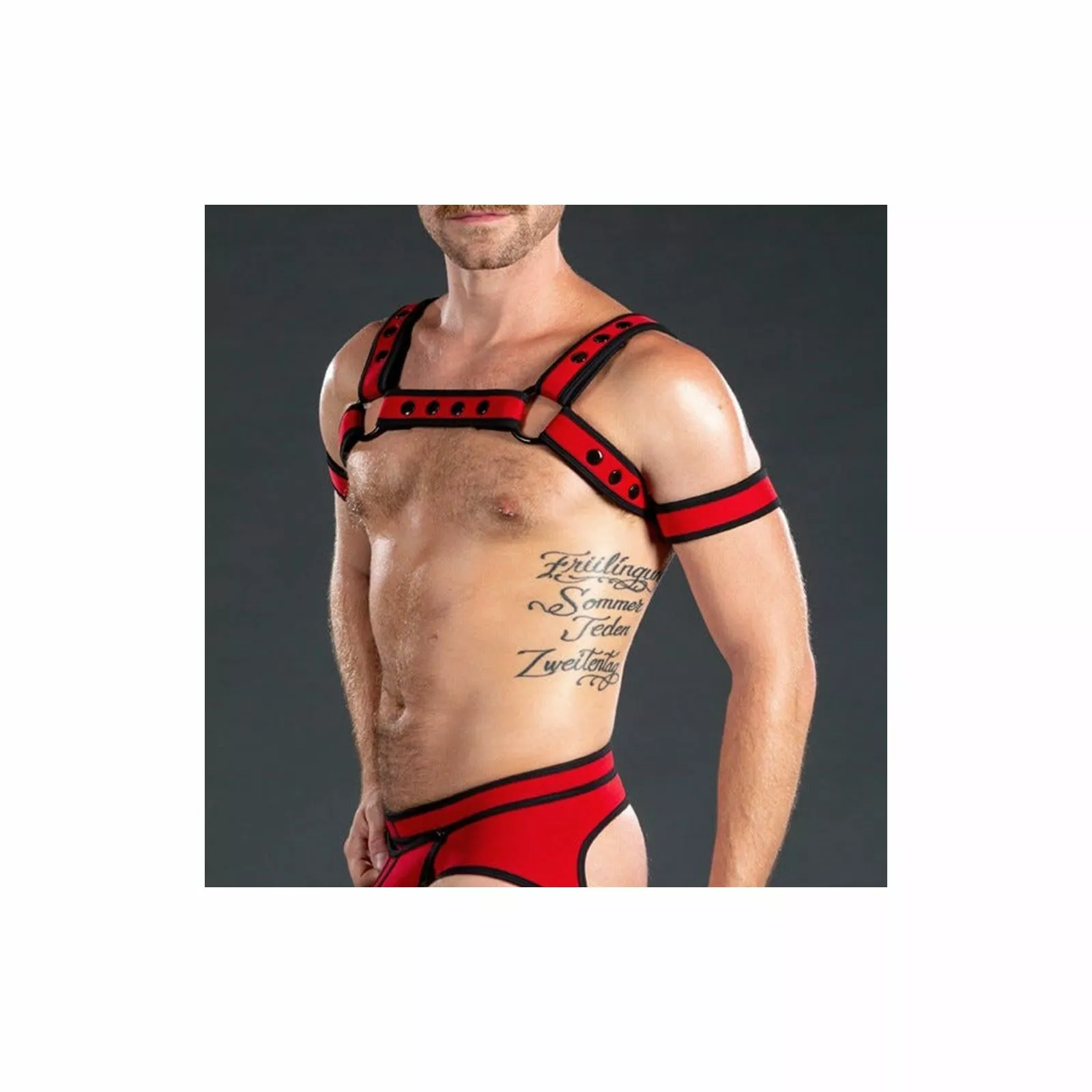 MR-S-LEATHER Neo Bold Bulldog Harness Rouge 5 MR-S-LEATHER Neo Bold Bulldog Harness Rouge – Image 3