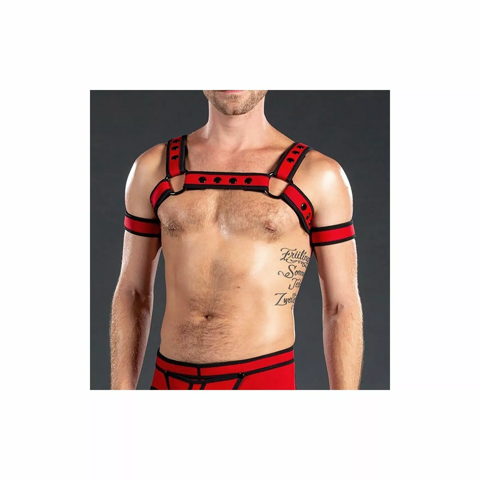 MR-S-LEATHER Neo Bold Bulldog Harness Rouge 3 MR-S-LEATHER Neo Bold Bulldog Harness Rouge
