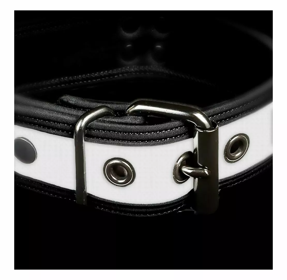 MR-S-LEATHER Neo Bold Puppy Collar Blanc 4 MR-S-LEATHER Neo Bold Puppy Collar Blanc – Image 2