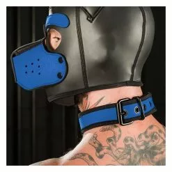 MR-S-LEATHER Neo Bold Puppy Collar Cobalt