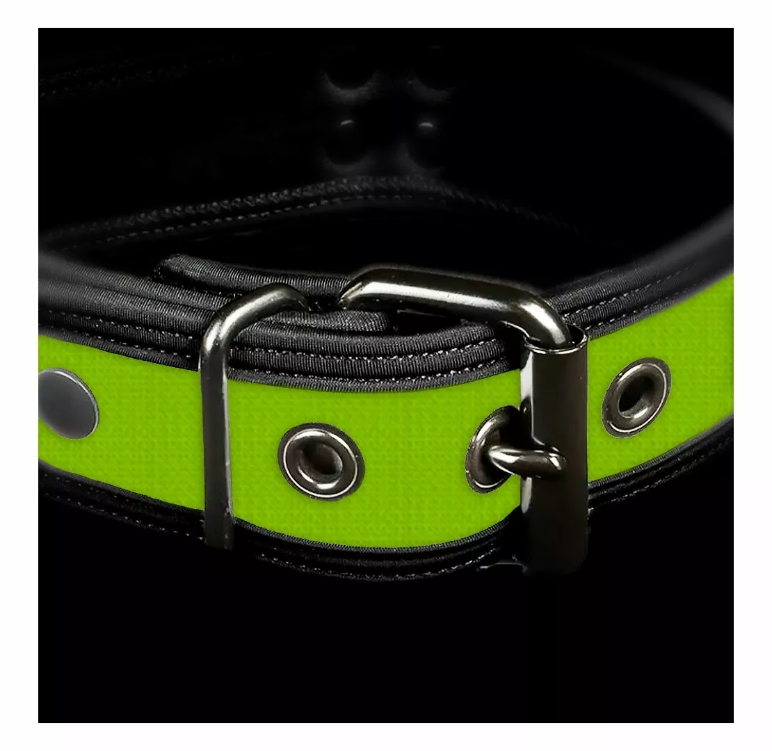 MR-S-LEATHER Neo Bold Puppy Collar Lime 4 MR-S-LEATHER Neo Bold Puppy Collar Lime – Image 2