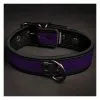 MR-S-LEATHER Neo Bold Puppy Collar Violet -Poppers et Leather Cleaners Soldes neo bold puppy collar violet