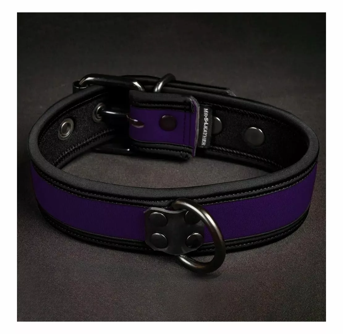 MR-S-LEATHER Neo Bold Puppy Collar Violet 3 MR-S-LEATHER Neo Bold Puppy Collar Violet