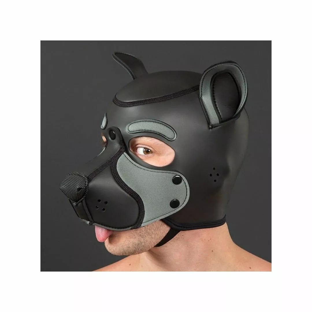 MR-S-LEATHER NEO FRISKY Puppy Hood Gris 3 MR-S-LEATHER NEO FRISKY Puppy Hood Gris