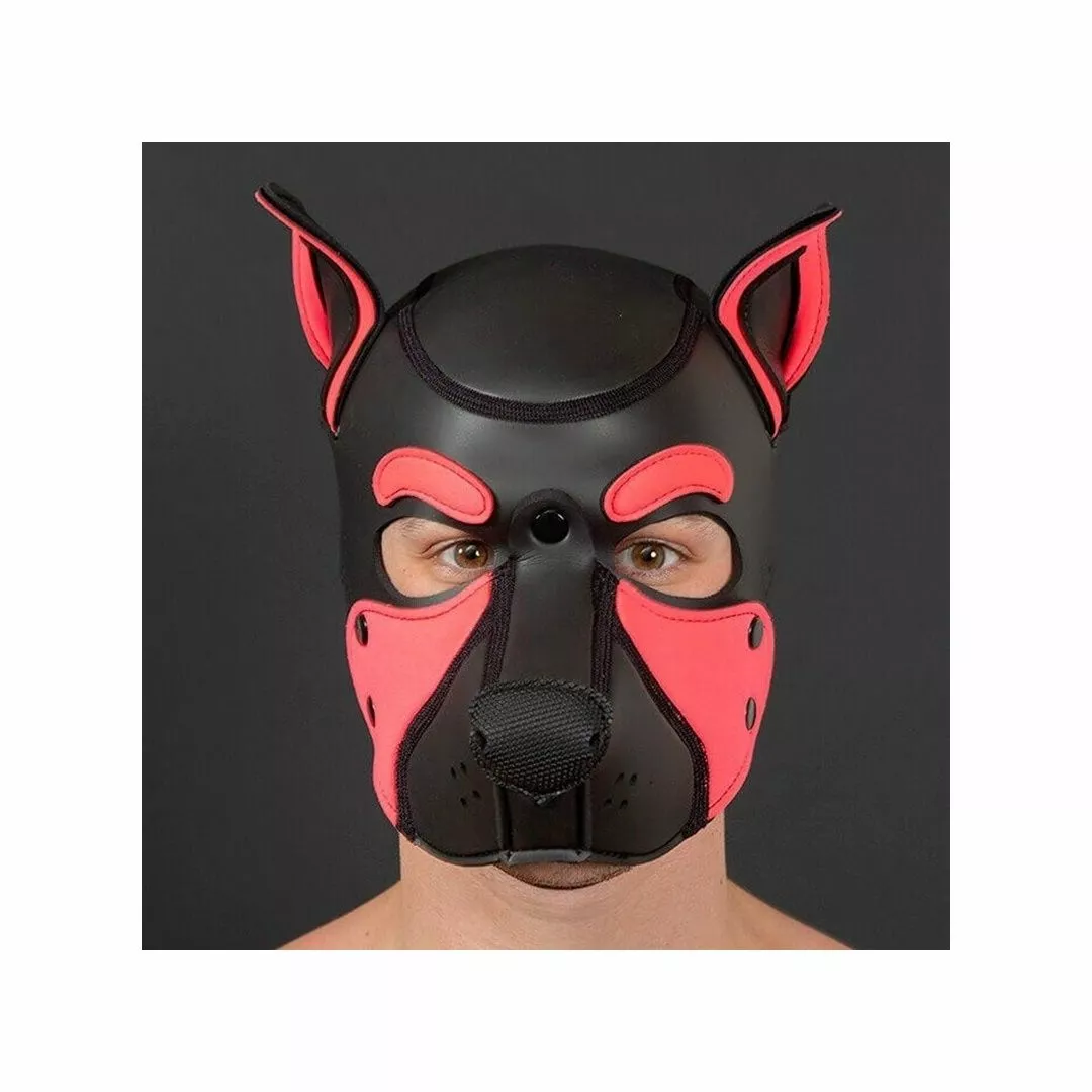 MR-S-LEATHER NEO FRISKY Puppy Hood Rose 4 MR-S-LEATHER NEO FRISKY Puppy Hood Rose – Image 2