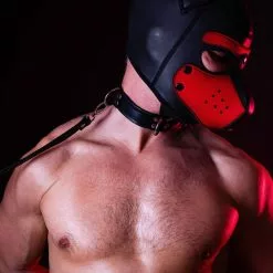 DARK-LINE Deluxe Bondage Leather Collar Noir Noir